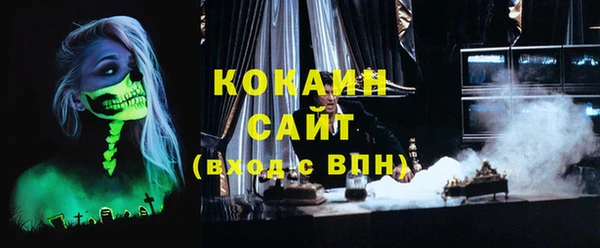 молекула духа Богданович