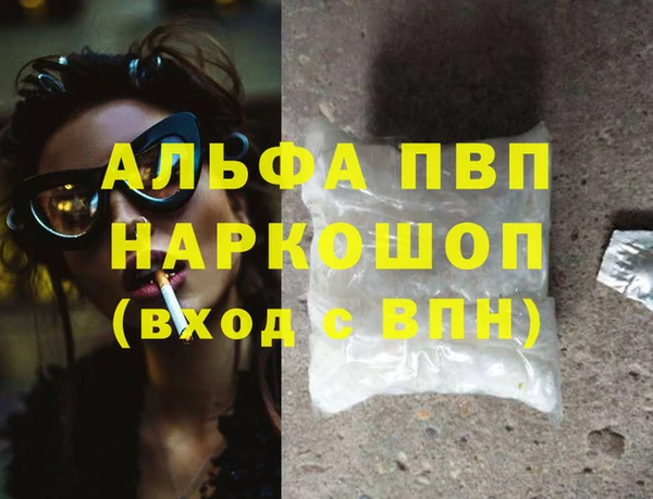 молекула духа Богданович