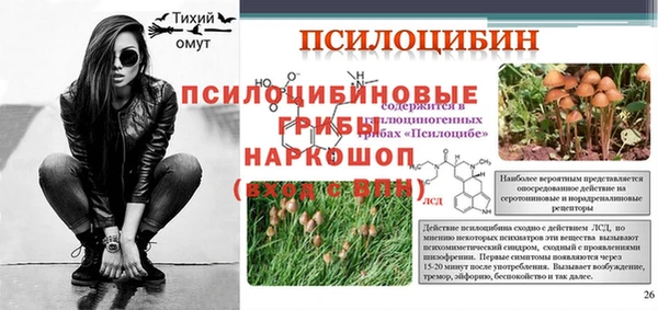 молекула духа Богданович