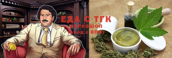 молекула духа Богданович