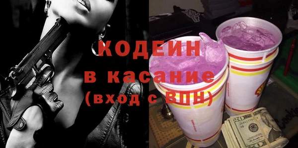 молекула духа Богданович