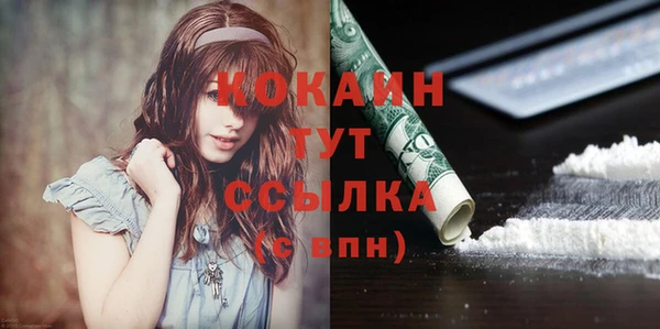 2c-b Богородицк