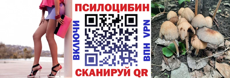 Галлюциногенные грибы прущие грибы Острогожск